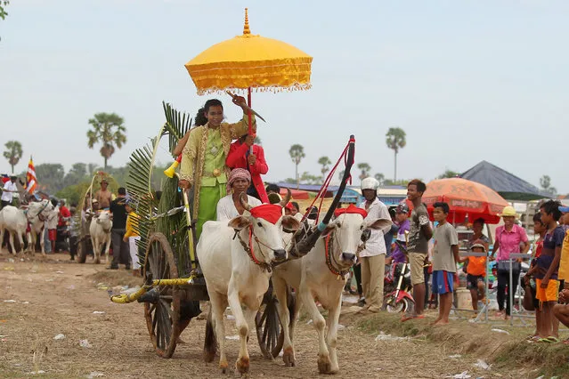 An ox cart takes part in the annual “Lok Ta Pring Ka-Ek” religious festival, to pray for fortune and rain for the rice fields at the outskirts of Phnom Penh, Cambodia June 9, 2016. (Photo by Samrang Pring/Reuters)