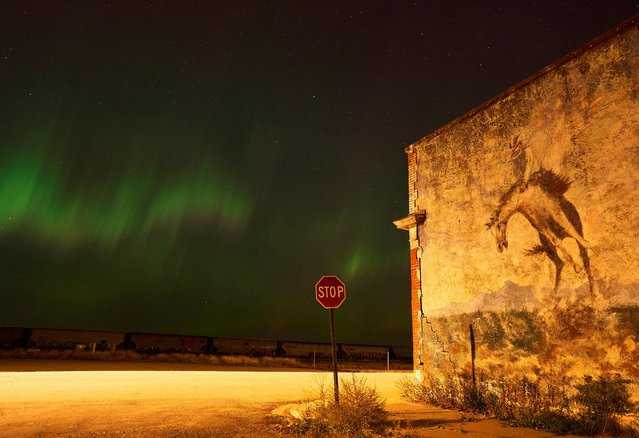 The aurora borealis, also known as the northern lights, light up the sky over Blackie, Alberta, Canada on October 7, 2024. (Photo by Todd Korol/Reuters)