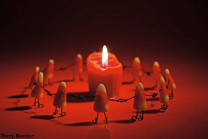 Everyday Objects Come Alive