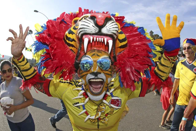 A fan of Colombia poses for photos prior a group A match between Colombia and Paraguay at Rose Bowl Stadium as part of Copa America Centenario US 2016 on June 07, 2016 in Pasadena, California, US. (Photo by Omar Vega/LatinContent/Getty Images)