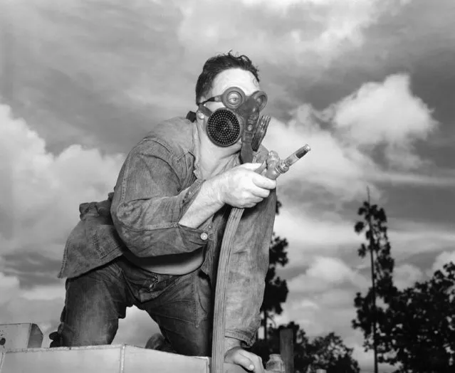 The Civilian Conservation Corps (CCC) is a public work relief program for unemployed young men age 18-24, providing unskilled manual labor related to the conservation and development of natural resources in rural areas of the United States, July 26, 1940. (Photo by AP Photo)