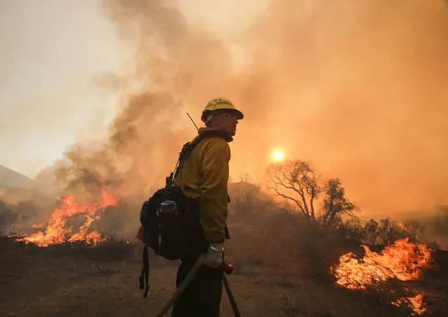 A firefighter watches a wildfire near Placenta Caynon Road in Santa Clarita, Calif., Sunday, July 24, 2016. Flames raced down a steep hillside “like a freight train”, leaving smoldering remains of homes and forcing thousands to flee the wildfire churning through tinder-dry canyons in Southern California, authorities said Sunday. (Photo by Ringo H.W. Chiu/AP Photo)