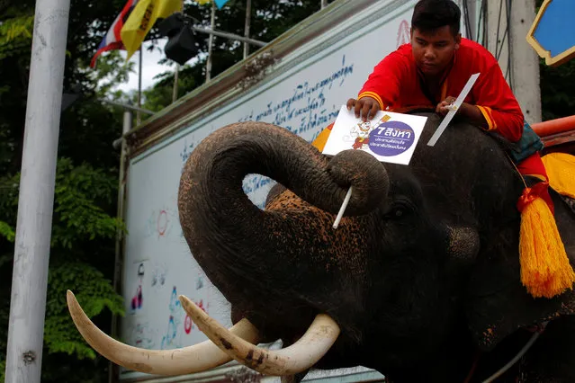 A mahout sits on his elephant and holds a poster during a campaign ahead of the August 7 referendum in Ayutthaya province, north of Bangkok, Thailand, August 1, 2016. (Photo by Chaiwat Subprasom/Reuters)