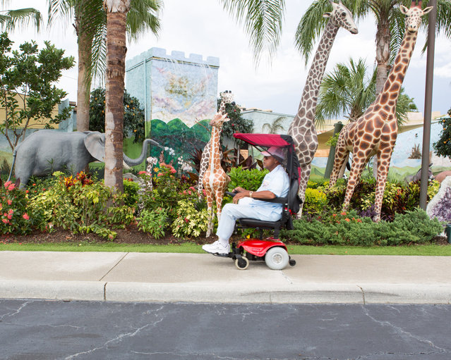 A tourist leaves The Holy Land Experience by going by some of Noah's animals he had on the Ark. (Photo by Daniel Cronin)