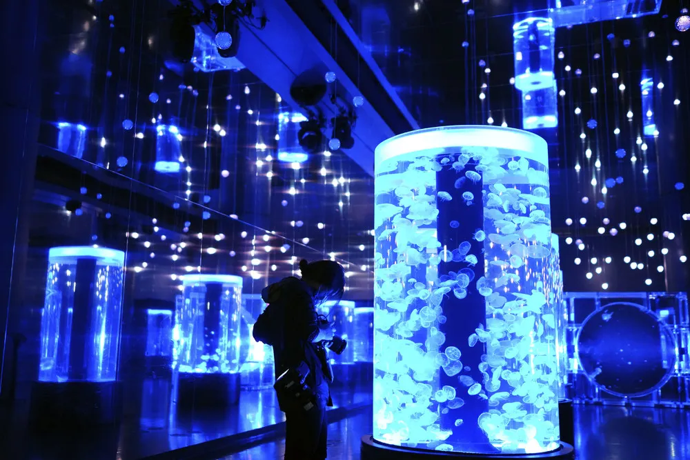 A Look at Life in Japan