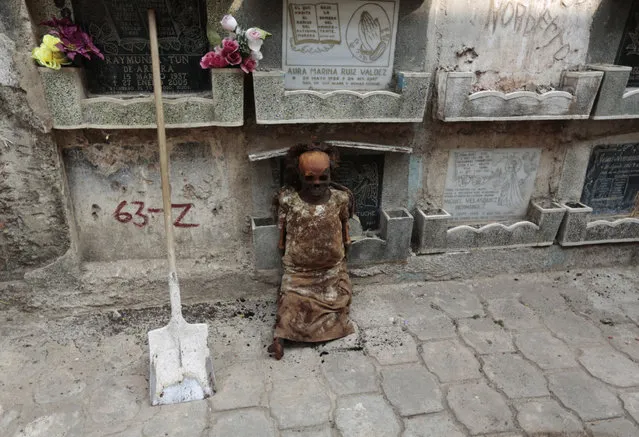 The mummified body of a woman sits on the floor during exhumation works at the Verbena cemetery in Guatemala City April 17, 2013. (Photo by Jorge Dan Lopez/Reuters)