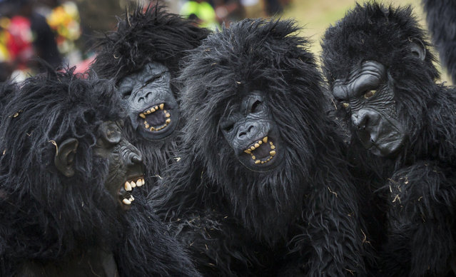 Youths dressed in gorilla costumes to represent the newly-named gorillas, entertain the crowd by mimicking the animals' behaviour, at a baby gorilla naming ceremony in Kinigi, northern Rwanda Saturday, September 5, 2015. (Photo by Ben Curtis/AP Photo)