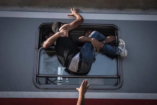 Refugees attempt to board a train towards Zagreb at Tovarnik station on the border with Serbia. (Photo by Sergey Ponomarev/Getty Images)