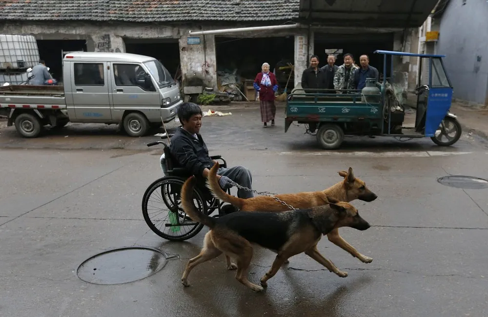 The Week in Pictures: November 8 – November 15, 2014. Part 2/5