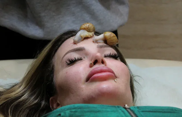 Maro, a Syrian customer, tries snail skincare at a beauty centre in Damascus, Syria on January 25, 2023. (Photo by Firas Makdesi/Reuters)