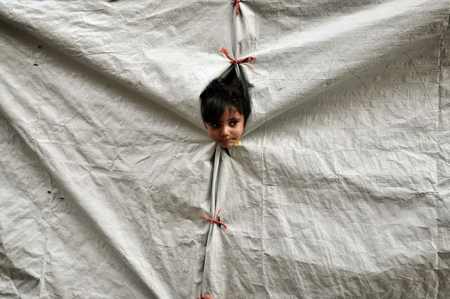 A child peers out of her tent at the Souda municipality-run refugee camp on the Greek island of Chios on October 13, 2016. Greece is accommodating over 60,000 refugees and migrants stuck in the country after a succession of Balkan and EU states shut their borders earlier this year. (Photo by Louisa Gouliamaki/AFP Photo)