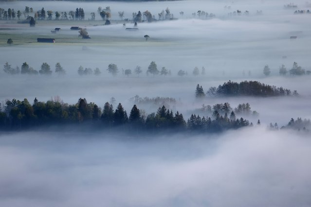 Landscape with the morning fog at Kochelsee, Bavaria, Germany, 29 April 2025. (Photo by /EPA)