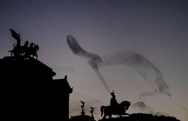 A photograph taken on November 30, 2020 in Rome shows starlings flying over Altare della Patria monument. (Photo by Tiziana Fabi/AFP Photo)