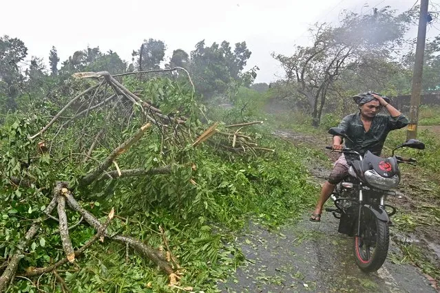 A man rides his motorcycle beside a fallen tree in Teknaf on May 14, 2023, during the Cyclone Mocha's landfall. (Photo by Munir Uz Zaman/AFP Photo)