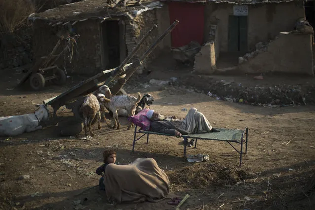 Children play under a shawl next to an elderly Afghan refugee man resting on a bed outside his mud house in a slum on the outskirts of Islamabad, Pakistan, Thursday, January 15, 2015. (Photo by Muhammed Muheisen/AP Photo)