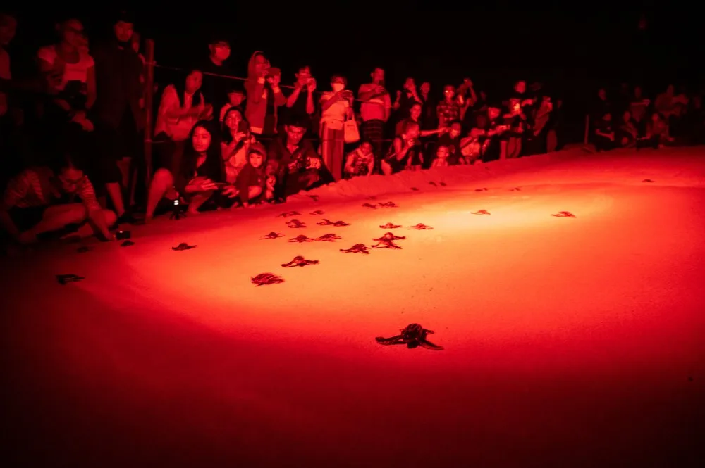 A Look at Life in Thailand