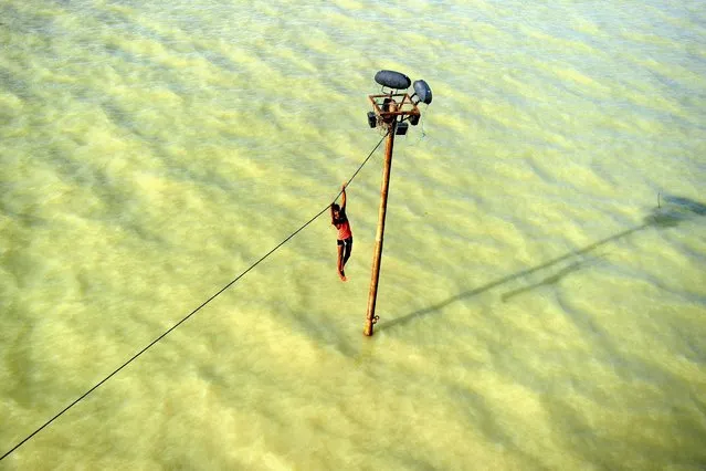 An Indian youth dangles from a power line before diving into the floodwaters of an overflowing Ganges river in Allahabad on August 6, 2013. The monsoon, which covers the subcontinent from June to September and usually brings flooding, accounts for about 80 percent of India's annual rainfall. (Photo by Sanjay Kanojia/AFP Photo)