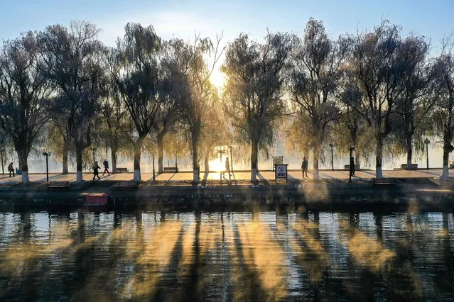 This photo taken on November 12, 2023 shows a person walking along a lake at Beiling Park in Shenyang, in China's northeastern Liaoning province. (Photo by AFP Photo/China Stringer Network)