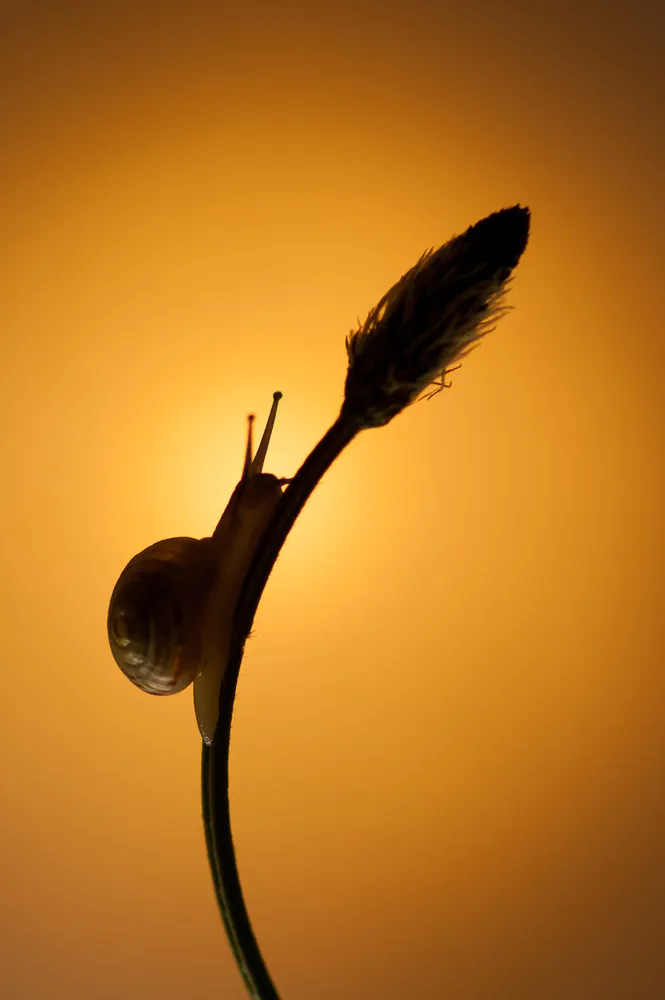 Impressive Photographs by Amateur Photographer Kutub Uddin