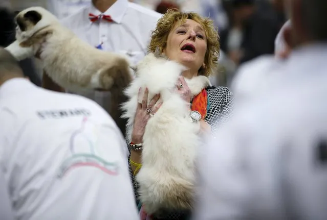 A participant gives her cat to the judges during the Mediterranean Winner 2016 cat show in Rome, Italy, April 3, 2016. (Photo by Max Rossi/Reuters)