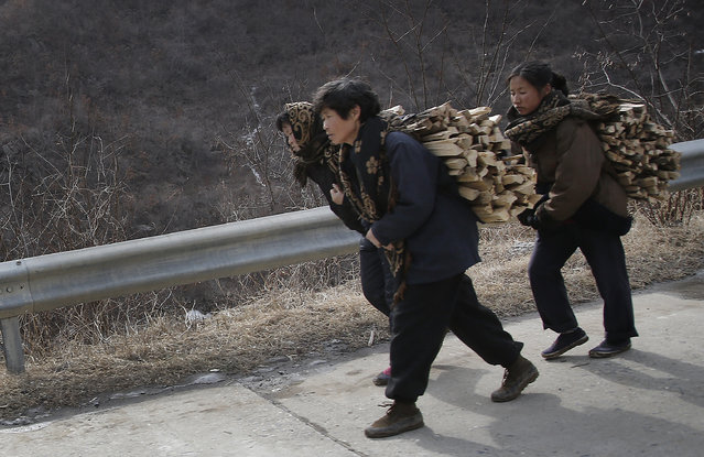 In this Friday, February 19, 2016, photo, North Korean women carry firewood as they walk along a highway in Sinpyong county in North Hwanghae province, North Korea. People cycling, walking while pulling carts or balancing their belongings on their heads  along long stretches of the main highways is a common scene on the outskirts of the North Korean capital. (Photo by Wong Maye-E/AP Photo)