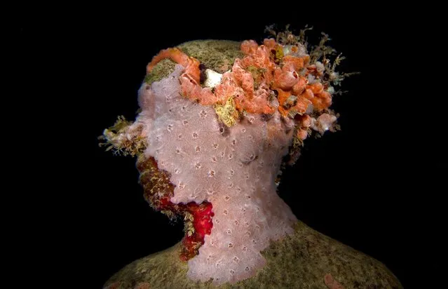 “Night series”. Underwater Sculpture, Museo Subacuático de Arte, Cancun. (Photo by Jason deCaires Taylor/UnderwaterSculpture)