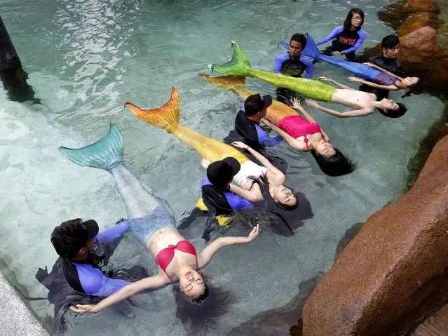 Manila Ocean Park offers a special swimming instruction for those who want to fulfill their dream to become mermaids. (Photo by Ritchie B. Tongo/EPA)