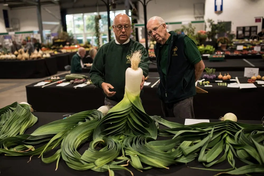 2019 NEHS Giant Vegetable Competition