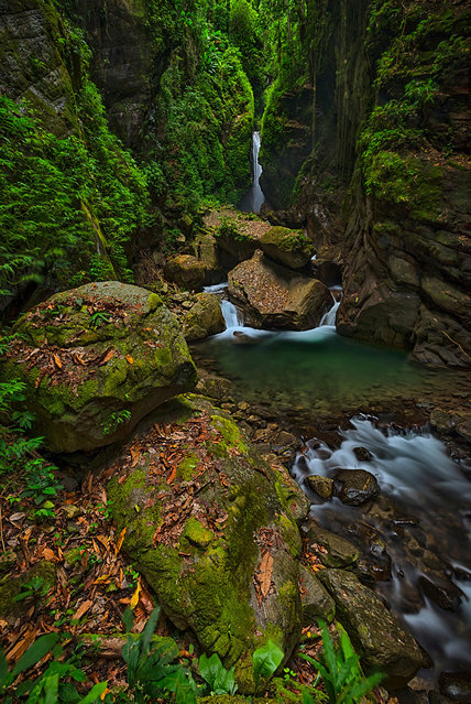 The global conservation body Nature Conservancy, working in 72 countries to tackle climate change and to conserve lands, waters and oceans, has announced its latest photo winners, selected from more than 100,000 entries. Here: Wanayo Waterfall by Diyanto Sarira, Indonesia: a small waterfall and stream in Wasior, West Papua. People’s choice winner. (Photo by Diyanto Sarira/The Nature Conservancy Global Photo Contest 2019)