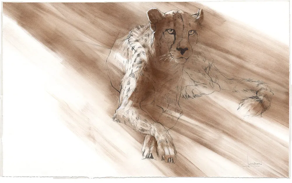 Drawing by Anne London