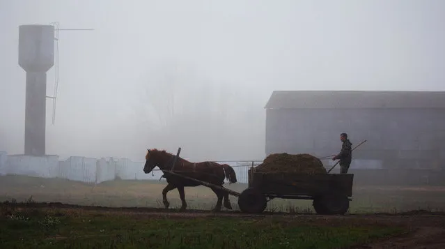 A man rides in a horse-drawn carriage on a foggy autumn day near the village of Krutilavichy, Belarus on November 8, 2019. (Photo by Vasily Fedosenko/Reuters)