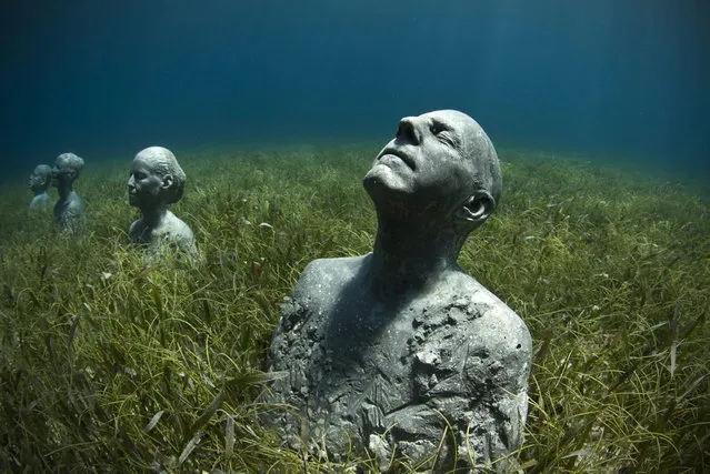 Underwater Sculpture, Museo Subacuático de Arte, Cancun on March 24, 2014. (Photo by Jason deCaires Taylor/Intrepidacious)