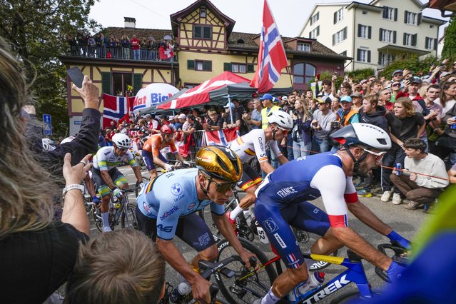 Belgium's Remco Evenepoel and France's Julien Bernard climb Zurichbergstrasse during the Men Elite road race of the Cycling and Para-cycling Road World Championships in Zurich, Switzerland, Sunday, September 29, 2024. (Photo by Peter Dejong/AP Photo)