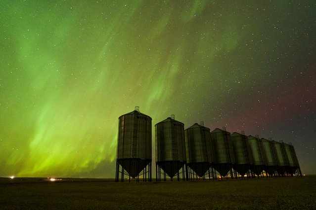 The aurora borealis, also known as the northern lights, light up the sky over a farmer's grain bins near Herronton, Alberta, Canada on October 7, 2024. (Photo by Todd Korol/Reuters)