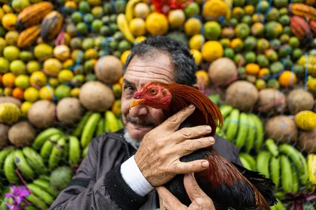 Peasants celebrate a traditional festival “Corpus Cristhi” since the time of the conquest, in Anolaima in the department of Cundinamarca, Colombia on June 29, 2022. Peasants collect all kinds of fruits and assemble great representative figures in gratitude to God for this festival. (Photo by Yair Suarez/Anadolu Agency via Getty Images)