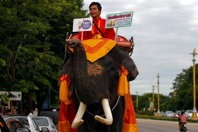A mahout sits on his elephant and holds placards during a campaign ahead of the August 7 referendum in Ayutthaya province, north of Bangkok, Thailand, August 1, 2016. (Photo by Chaiwat Subprasom/Reuters)