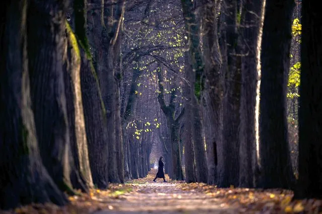 A woman takes a stroll through a park on an autumn day in Moscow on October 27, 2022. (Photo by Natalia Kolesnikova/AFP Photo)