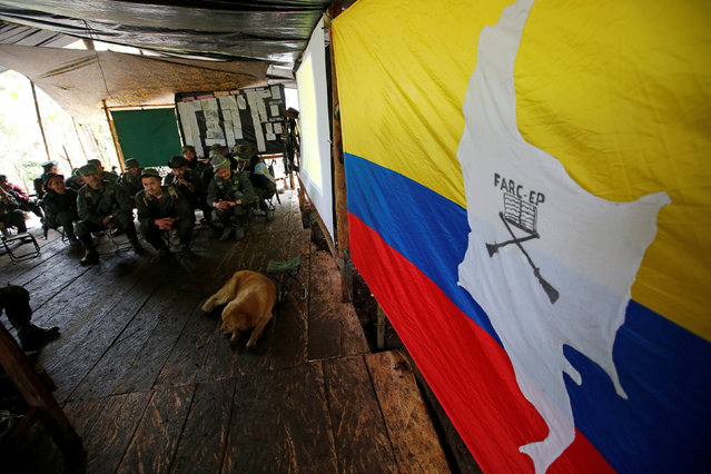 Members of the 51st Front of the Revolutionary Armed Forces of Colombia (FARC) listen to a lecture on the peace process between the Colombian government and their force at a camp in Cordillera Oriental, Colombia, August 16, 2016. (Photo by John Vizcaino/Reuters)