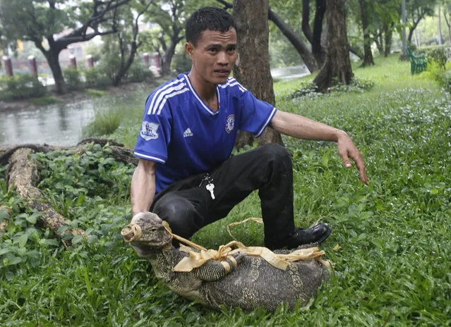 An officer displays a bound monitor lizard at Lumpini Park in Bangkok, Thailand, Tuesday, September 20, 2016. The Bangkok Metropolitan Administration's plan for the lizards, who's park population has grown to the hundreds, is to relocate them to a neighboring sanctuary and return the city's central park to a safe destination frequented by tourists and locals. (Photo by Sakchai Lalit/AP Photo)