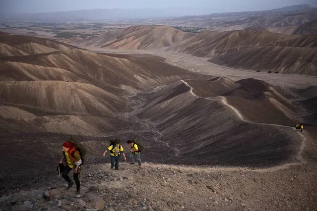 Greenpeace activists walk towards the historic landmark of the hummingbird in Nazca in Peru, Monday, December 8, 2014. Greenpeace activists from Brazil, Argentina, Chile, Spain, Germany, Italy and Austria displayed the message, “Time for Change: The Future is Renewable” which can be viewed from the sky, during the climate talks in Peru, to honor the Nazca people, whose ancient geoglyphs are one of the countires cultural landmarks. (Photo by Rodrigo Abd/AP Photo)