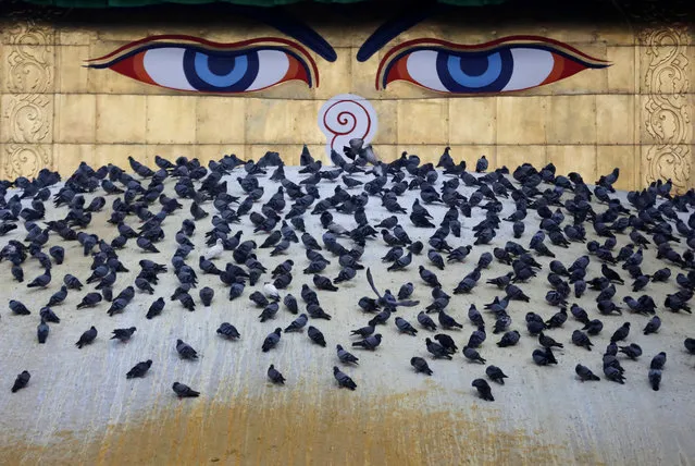 Pigeons rest at the dome of Boudhanath Stupa during the birth anniversary of Buddha, also known as Vesak Day, in Kathmandu, Nepal April 30, 2018. (Photo by Navesh Chitrakar/Reuters)