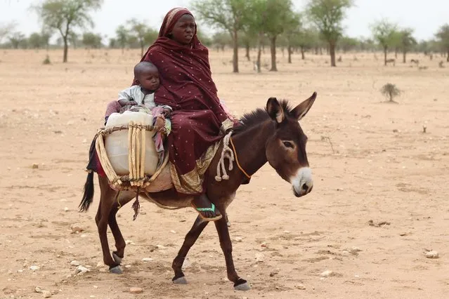 Sudanese refugees cross into Chad riding a donkey near Koufroun, Echbara, on May 1, 2023. Hundreds of Sudanese, most of them women and children, each day cross a small, dry stream to find safety in neighbouring Chad. At least 20,000 people had found refuge at a makeshift camp in the Chadian border village of Koufroun, according to the United Nations refugee agency UNCHR, which manages their influx along with other UN agencies. (Photo by Gueipeur Denis Sassou/AFP Photo)