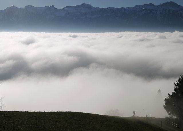 A hiker walks into a sea of fog over Lake Leman at the Tour de Gourze near Lausanne, Switzerland, December 3, 2015. (Photo by Denis Balibouse/Reuters)