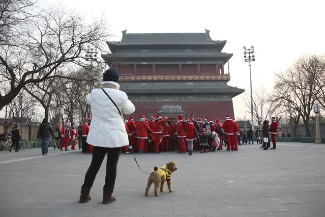 A residents walking her dog look at participants dressed in Santa Claus costumes near the Drum Tower during the SantaCon in Beijing, China, December 12, 2015. (Photo by Reuters/China Daily)