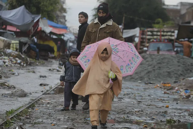 A Pakistani school girl walks on her way to school in the rain in Peshawar, Pakistan, Thursday, January 22, 2015. (Photo by Mohammad Sajjad/AP Photo)