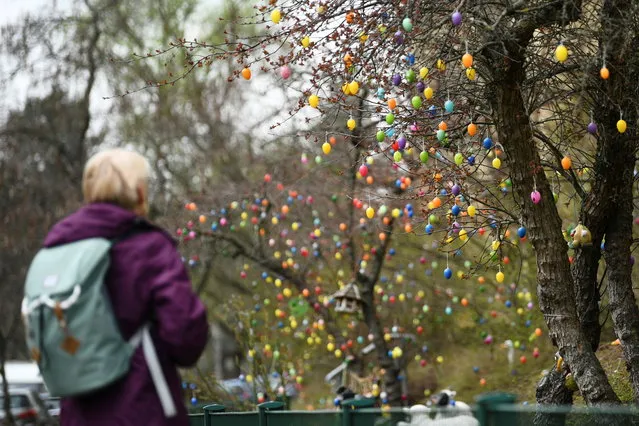 A woman looks at colourful Easter eggs hanging in a tree on Reussallee street in Berlin, Germany, April 1, 2021. (Photo by Annegret Hilse/Reuters)