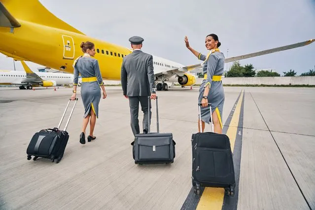 Back view of a pilot and two flight attendants in stylish uniforms pulling their trolley suitcases across the airdrome. (Photo by Svitlana Hulko/Getty Images)