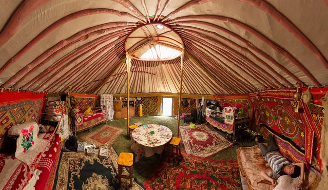 Sailau's son takes a ell-deserved rest inside the Ger, which is decorated with an intricate structure and colourful carpets and hunting trophies in Altai Mountains, Mongolia, September 2016. (Photo by Joel Santos/Barcroft Images)