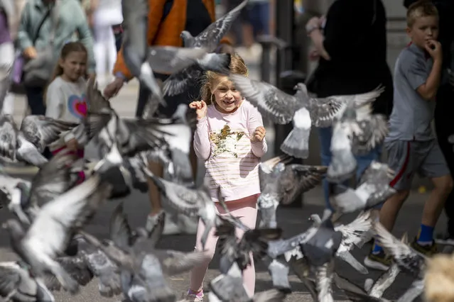 Among the pigeons: Molly Harte (5) from Liverpool enjoys the pigeons in St Stephen's Green in Dublin, Ireland on July 24, 2023. (Photo by Tom Honan/The Irish Times)