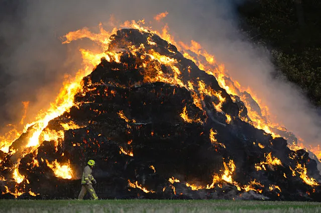 A firefighter walks past a haystack fire in Kimpton, UK on September 30, 2018. Fire crews from Bedfordshire and Hertfordshire were sent to tackle the fire in north Hertfordshire. Firefighters doused adjacent woodland with water in order to stop the blaze spreading. (Photo by Tony Margiocchi/Barcroft Images)